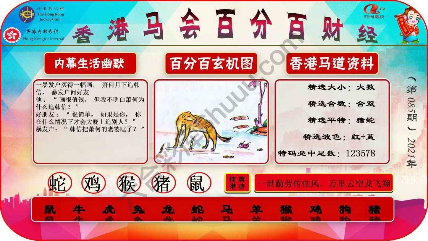 百分百财经