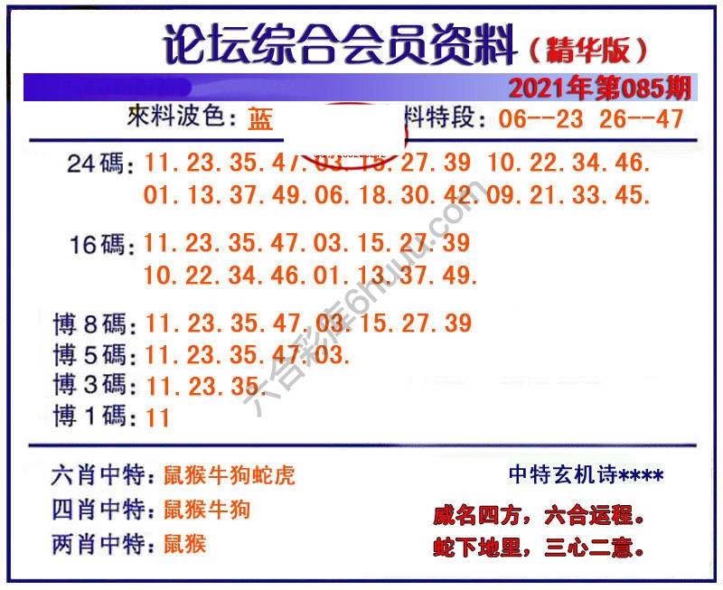 综合会员资料