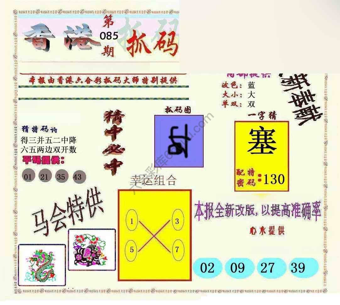 新抓码王