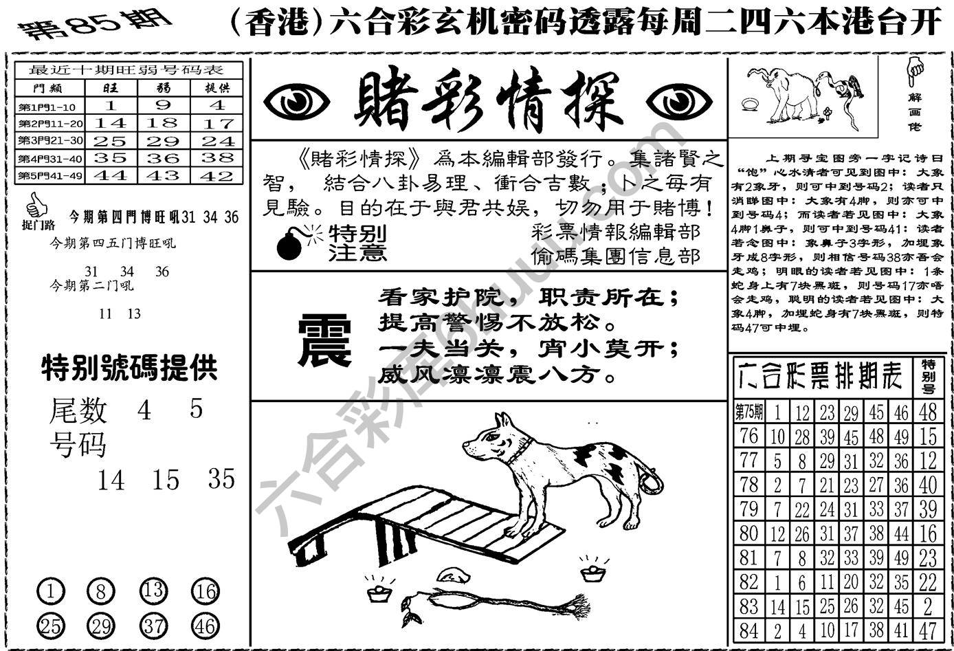 赌彩情探