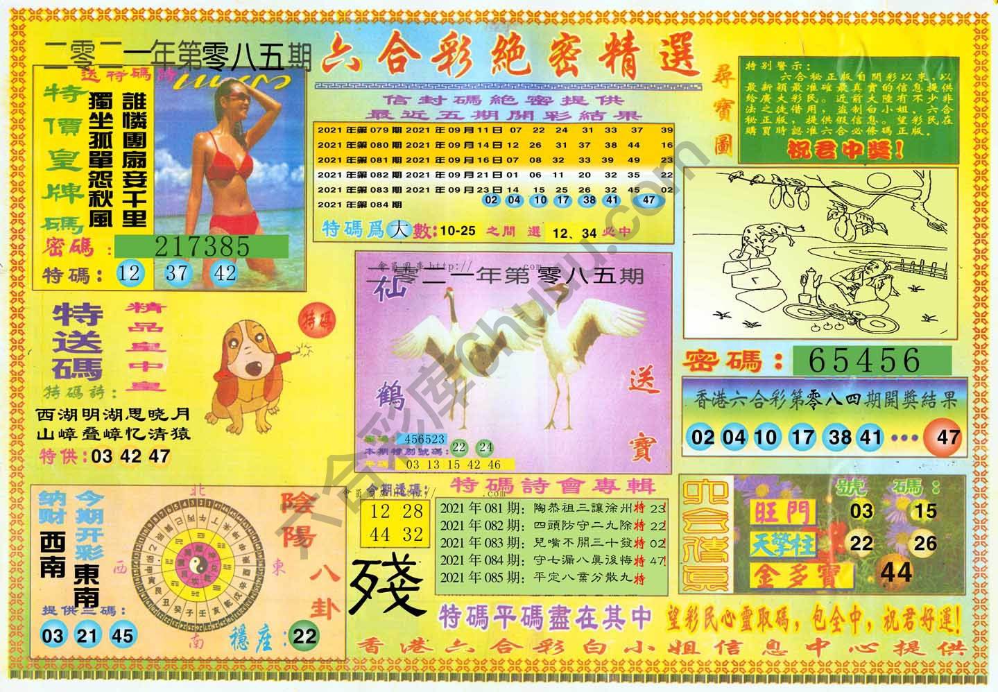 六合彩绝密精选
