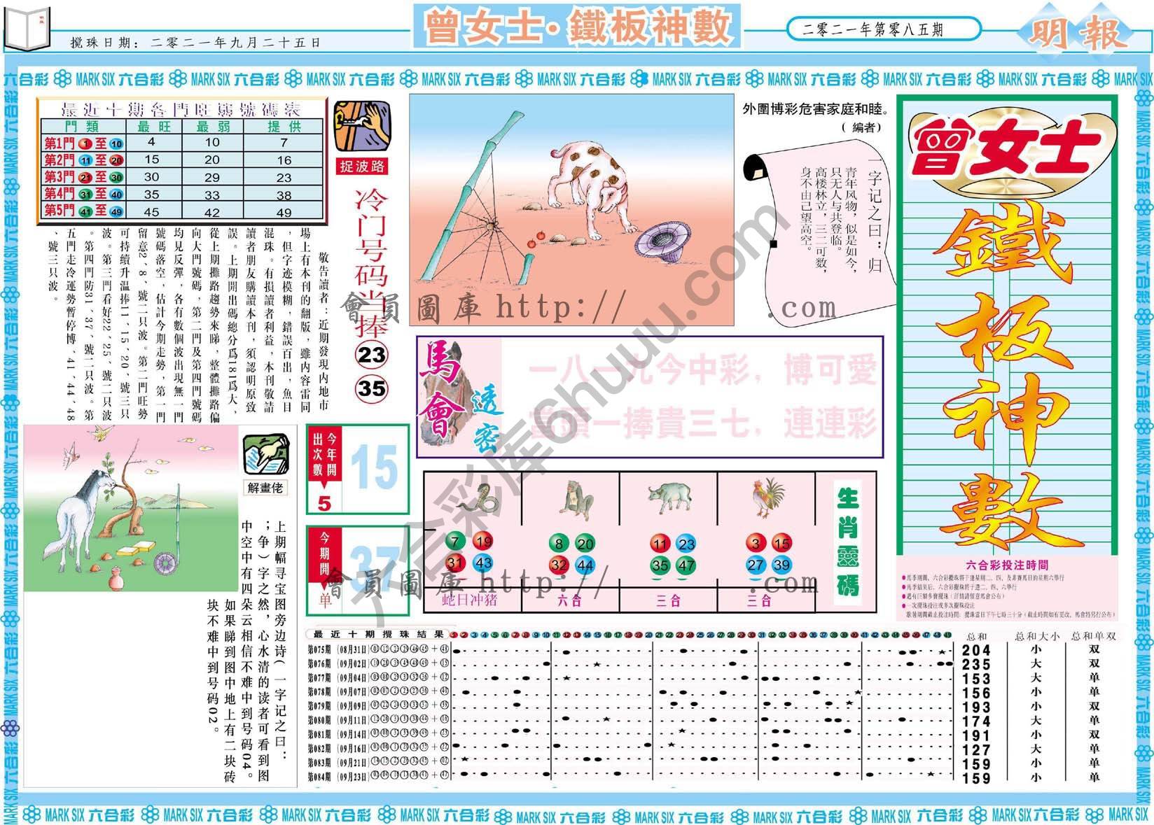 曾女士铁板神数