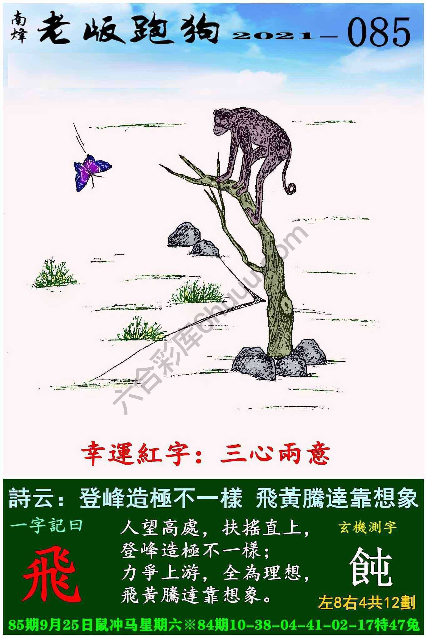 老版跑狗图