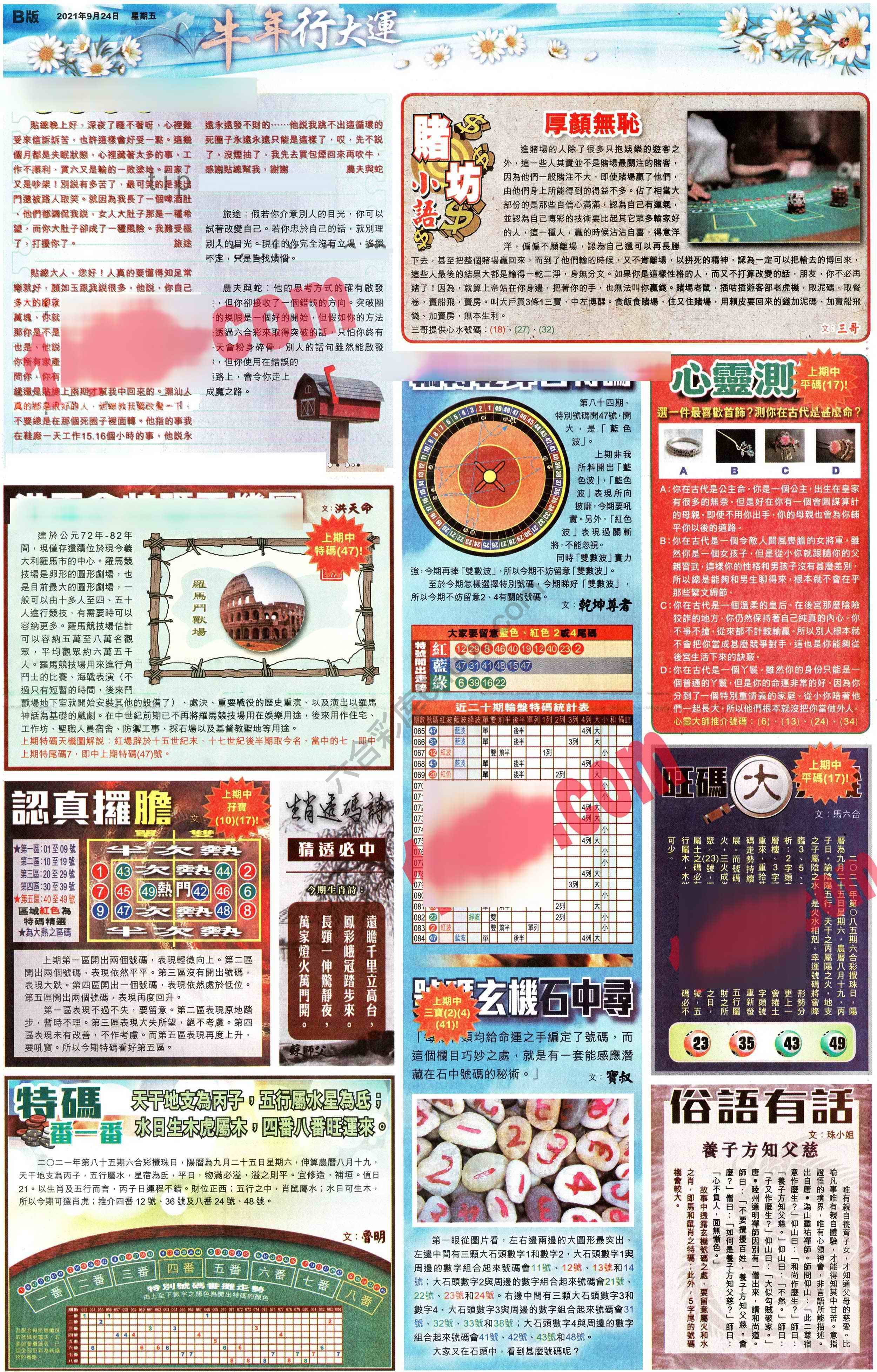 大版贴士皇