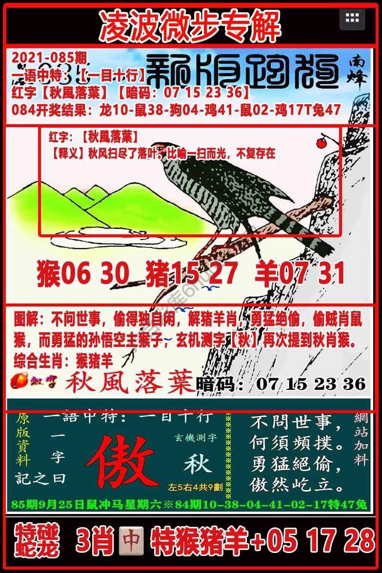 凌波微步解跑狗