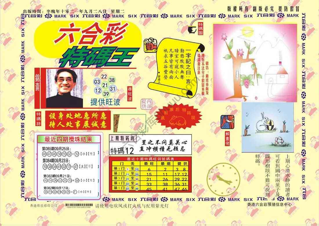 特码王