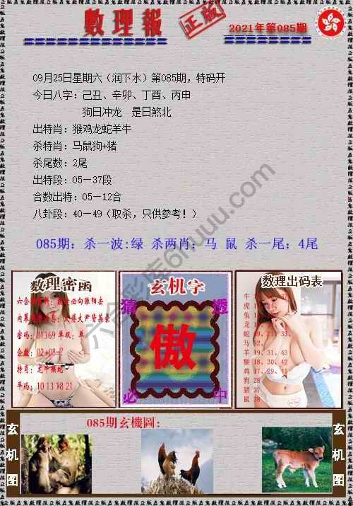 数理报