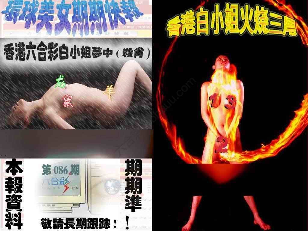 环球美女特码报