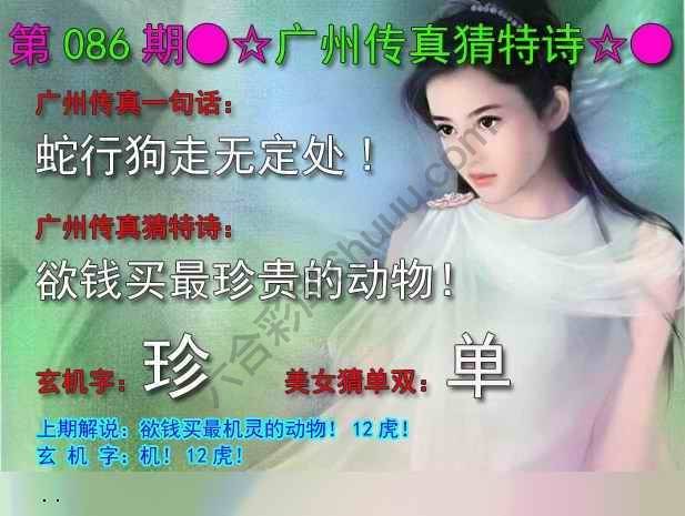 广州传真中特诗
