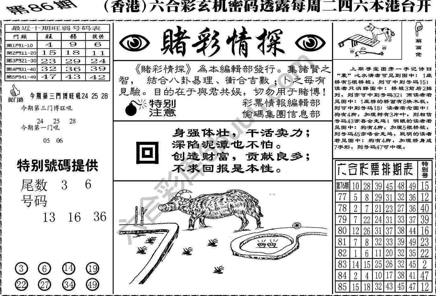 赌彩情探