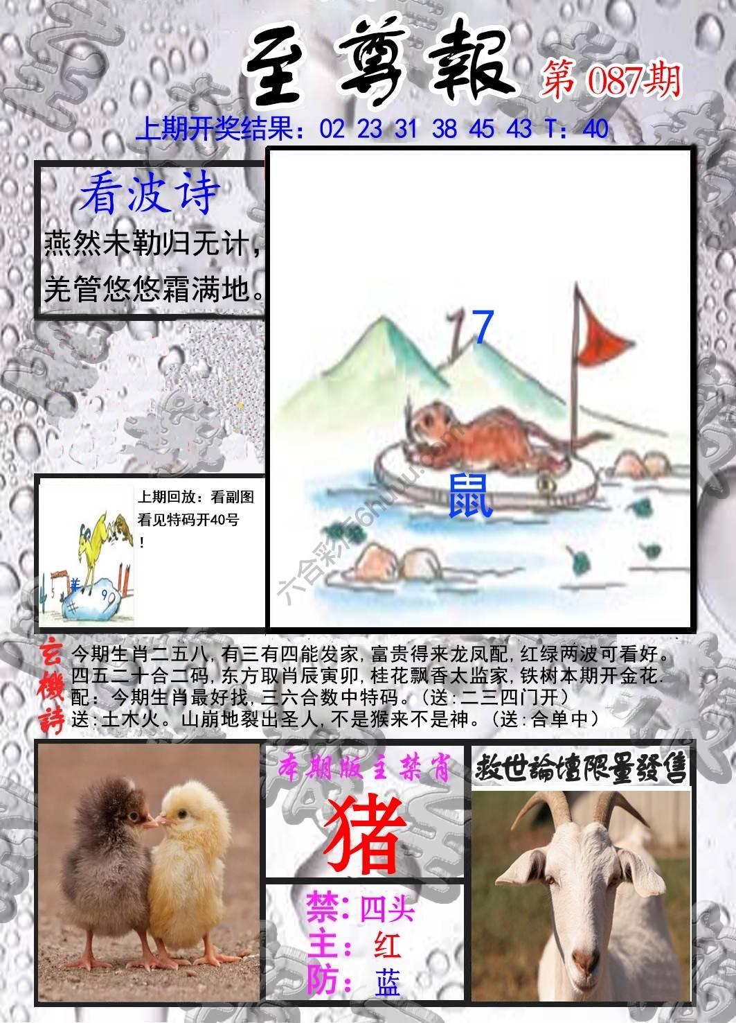至尊报