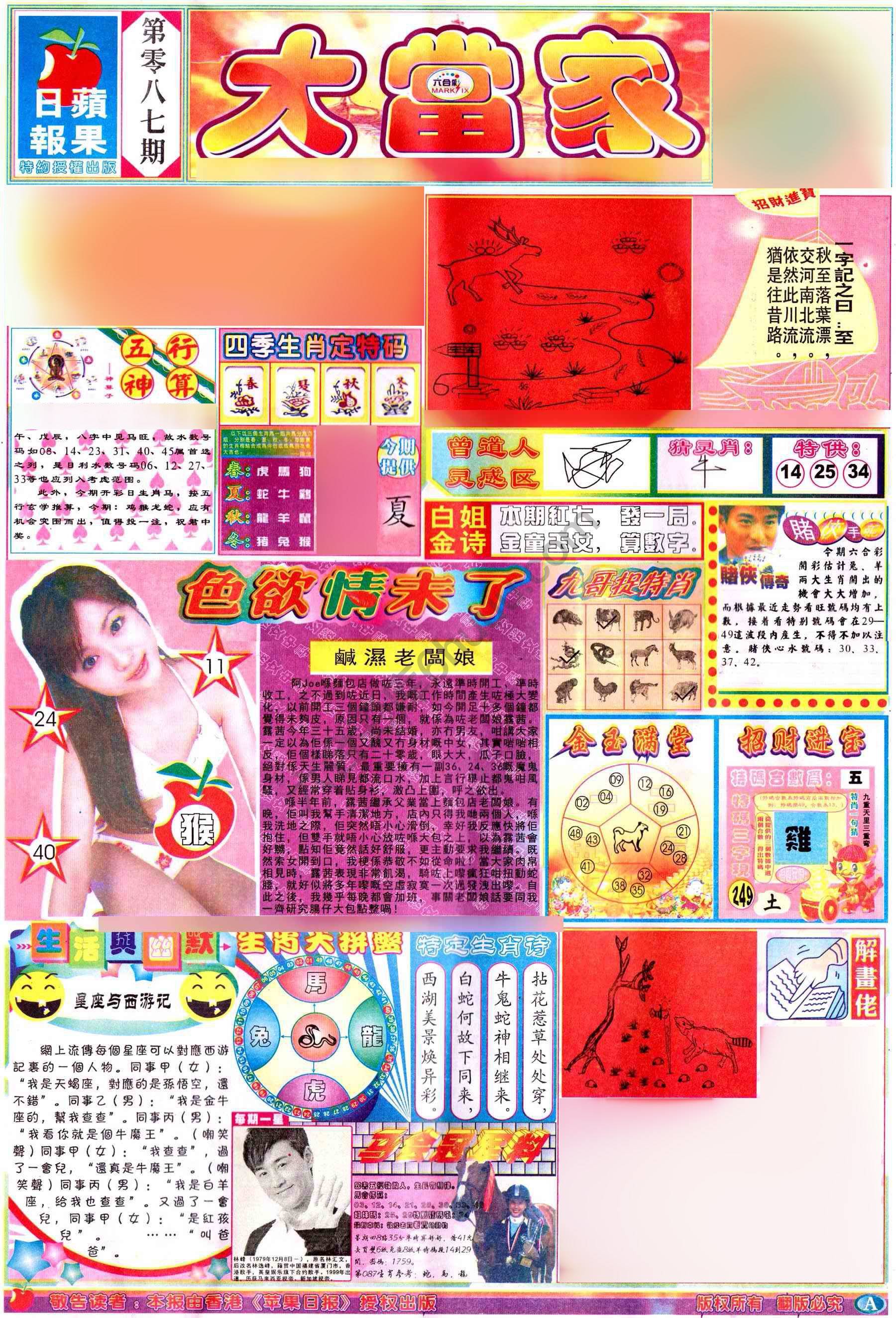 大当家