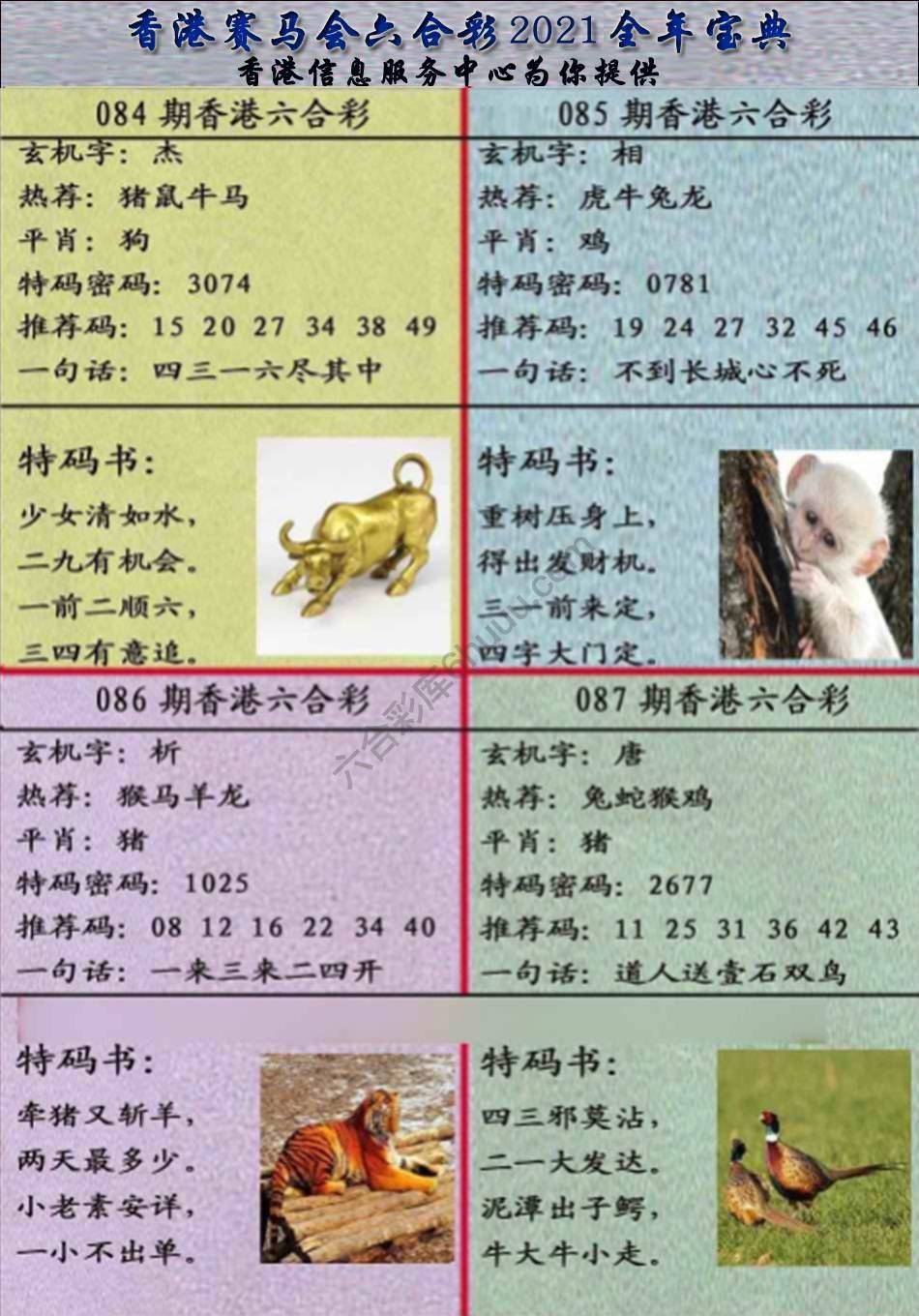 宝典报