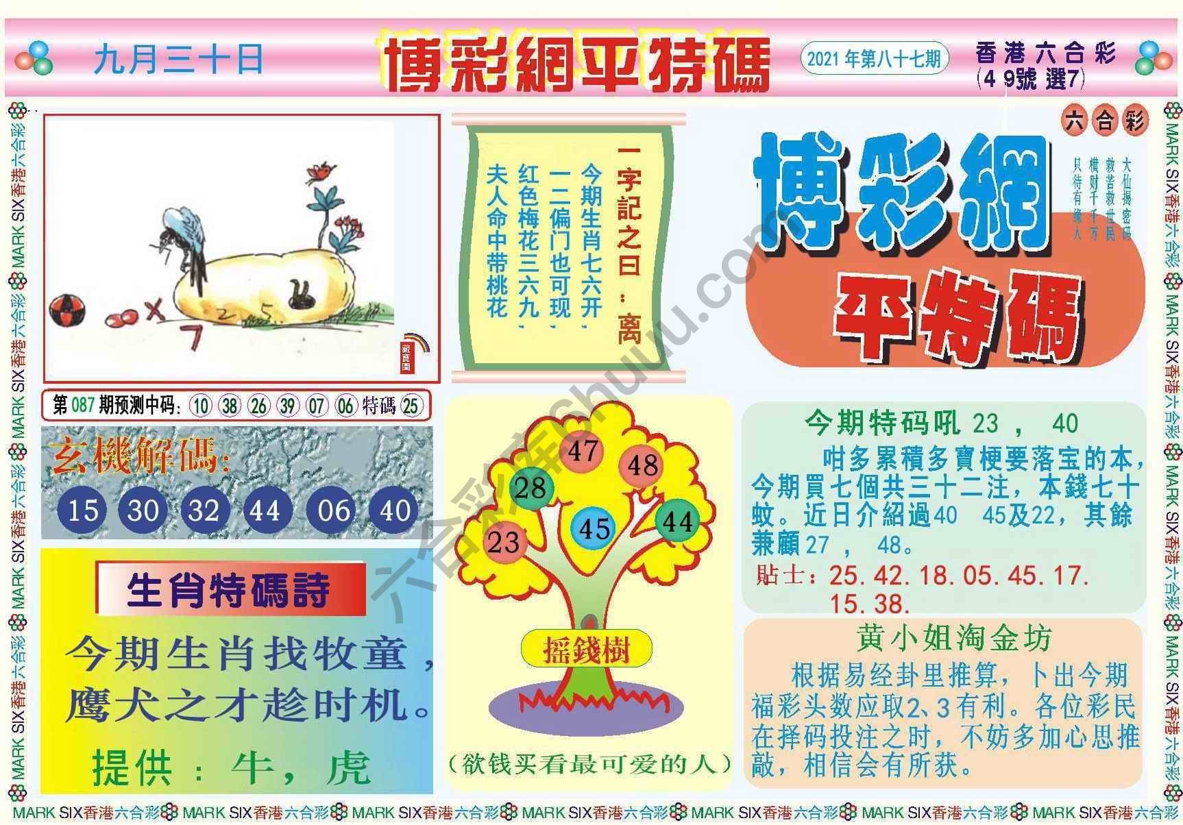 博彩网平特码