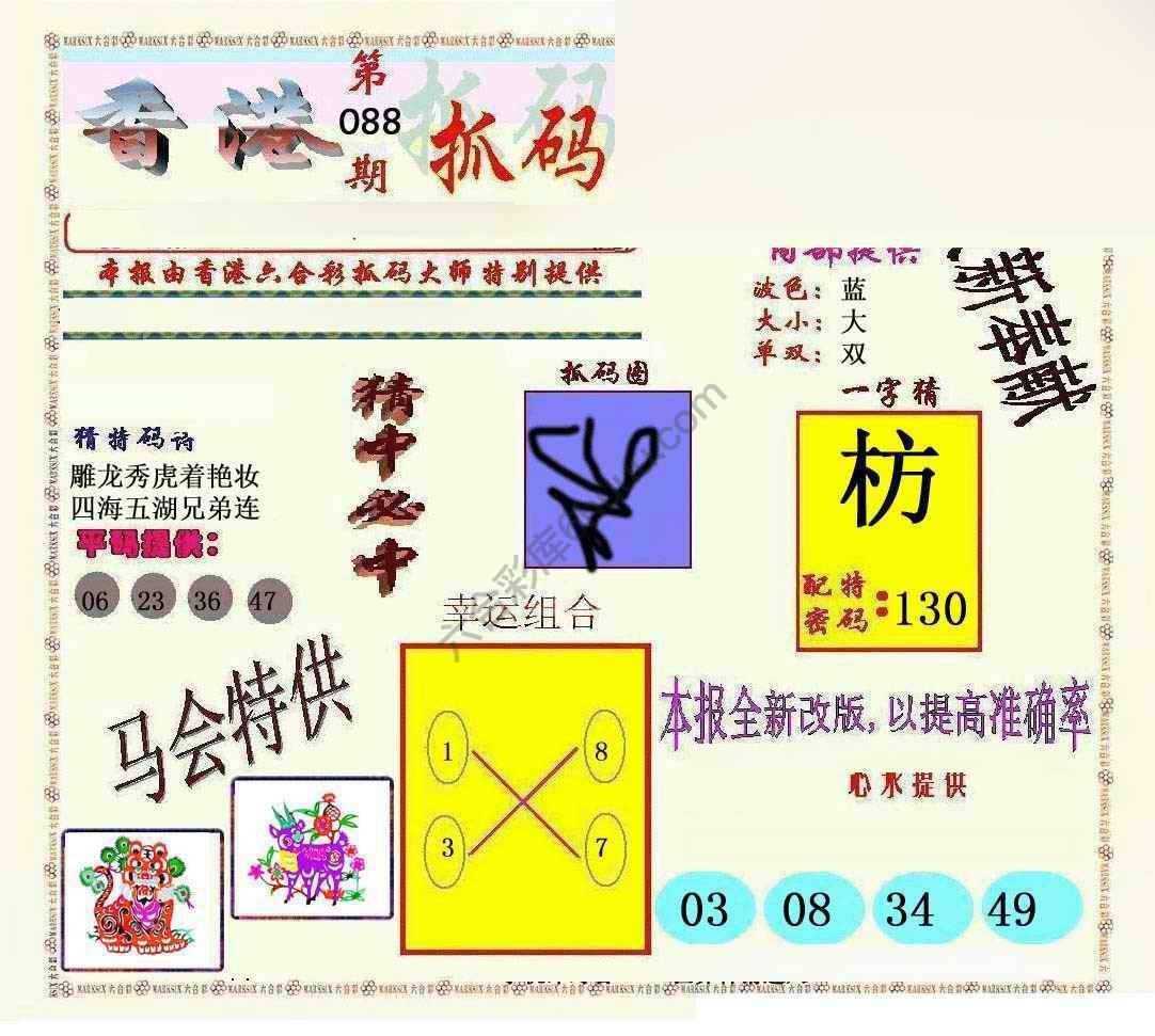 新抓码王