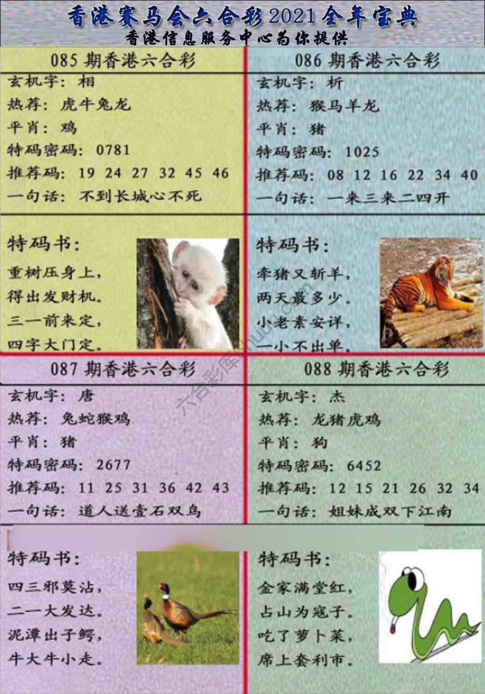 宝典报