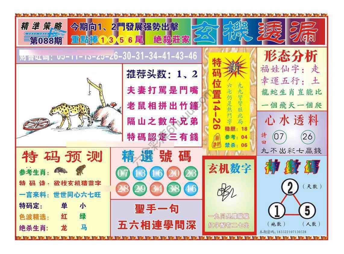 玄机透漏