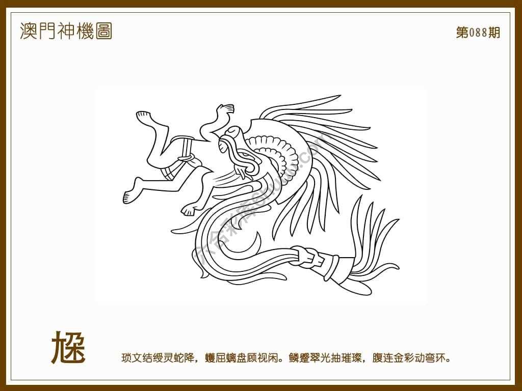 澳门神机图
