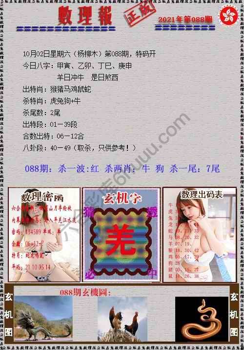 数理报