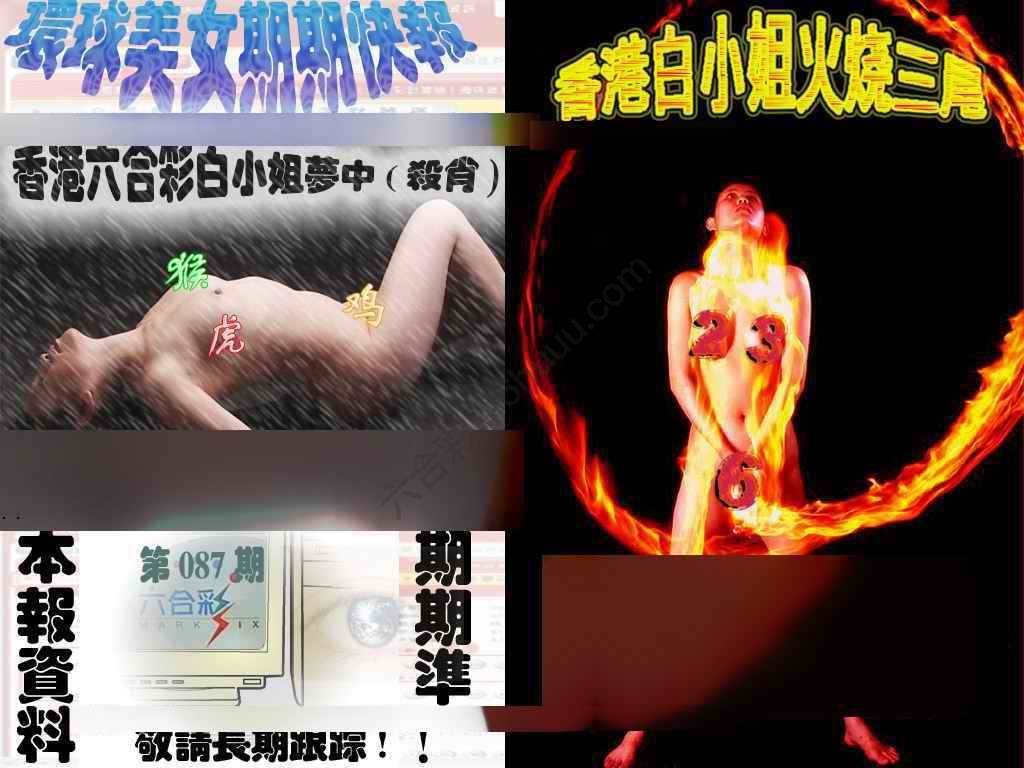 环球美女特码报