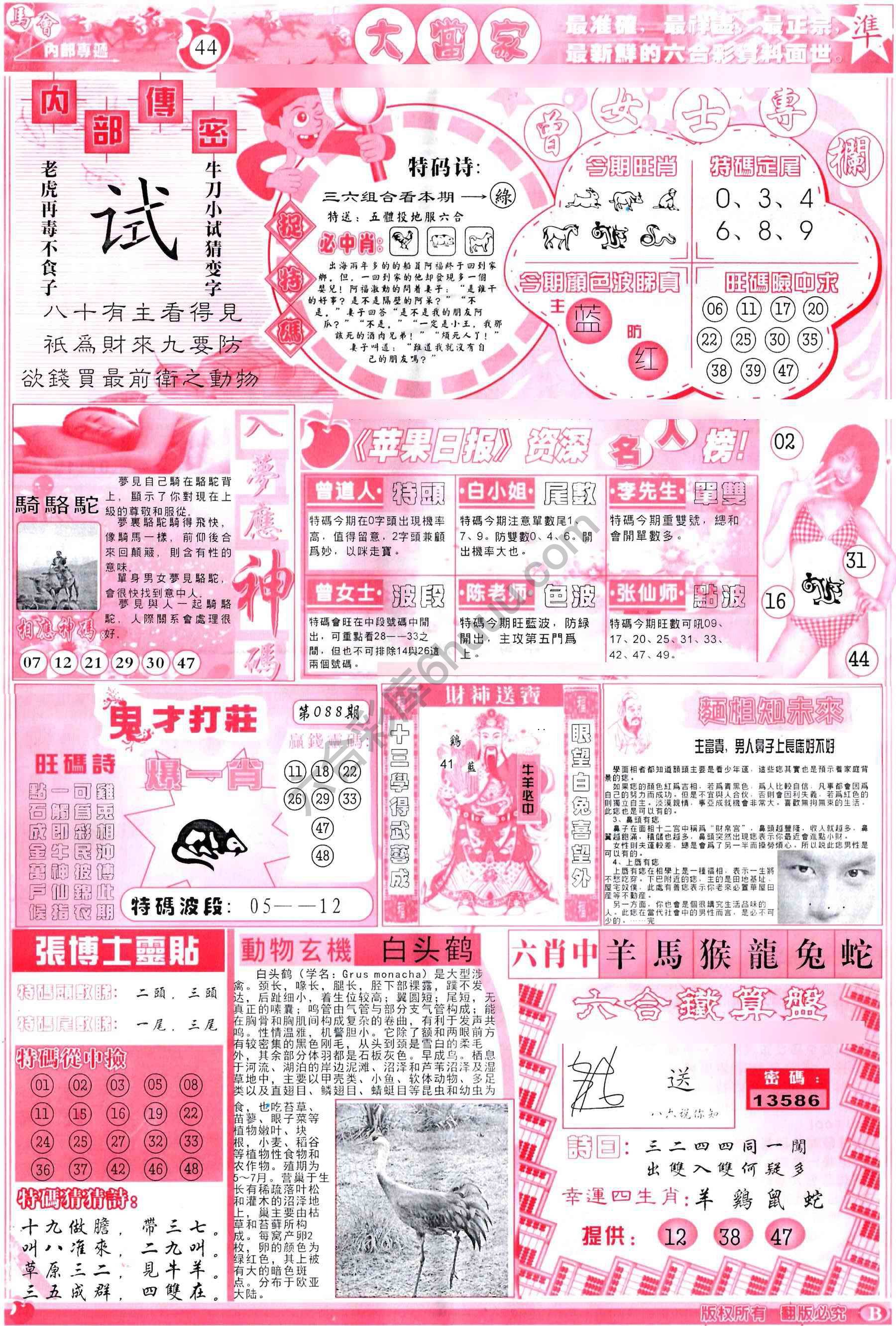 大当家