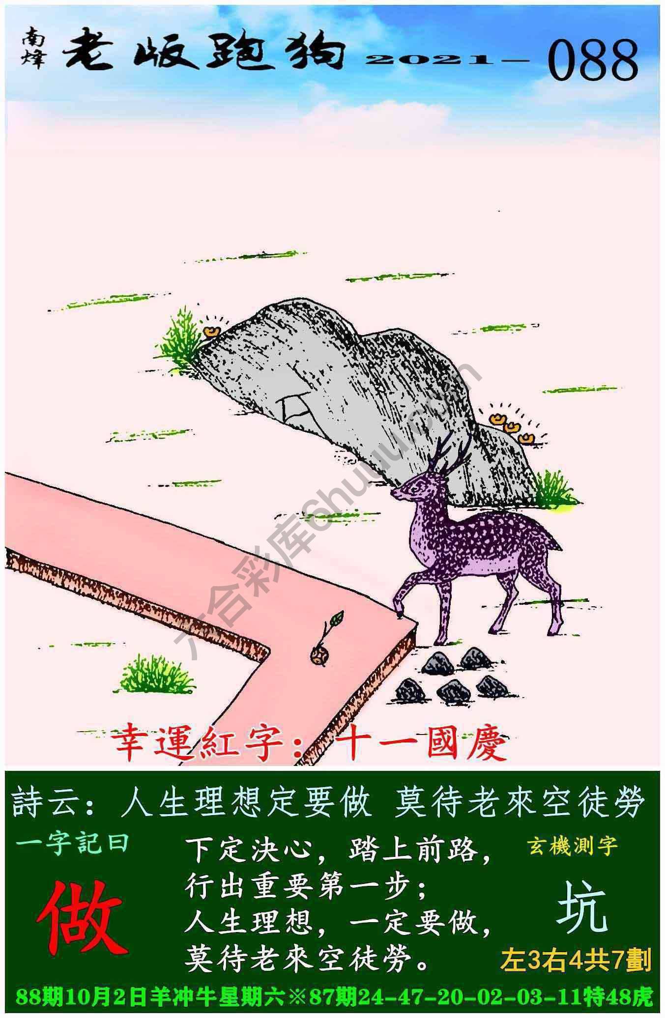 老版跑狗图