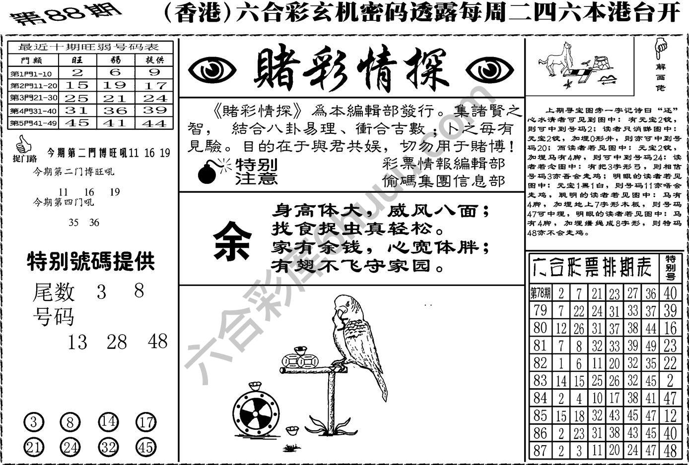 赌彩情探