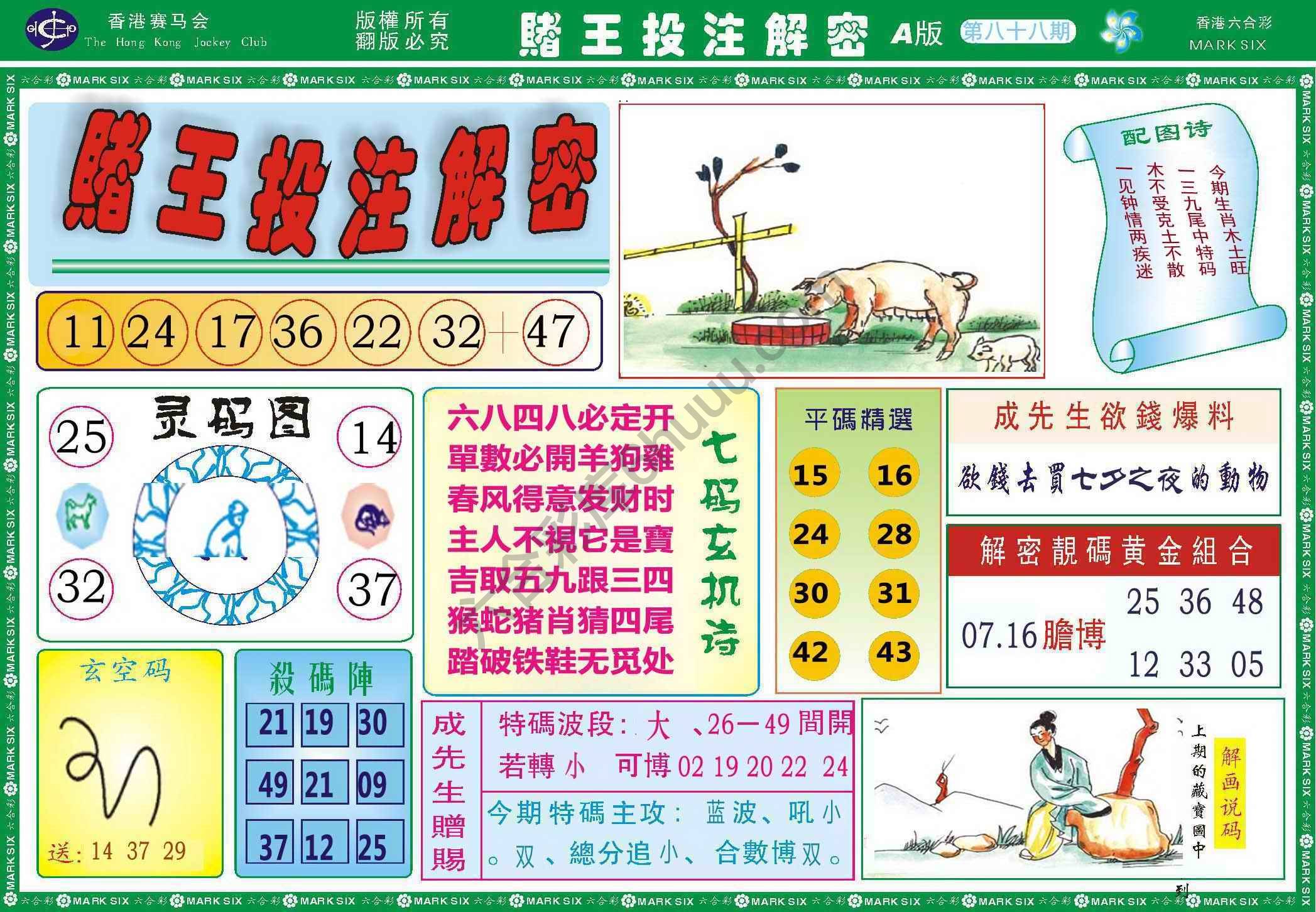 赌王投注解密