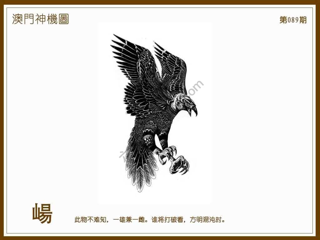 澳门神机图
