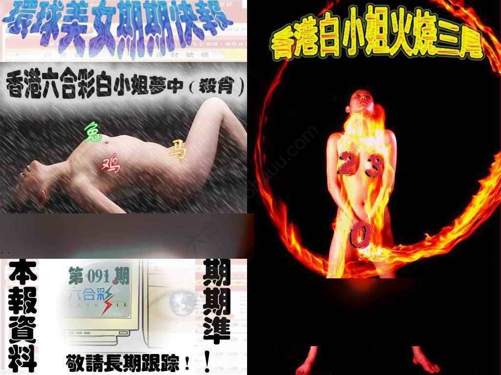 环球美女特码报