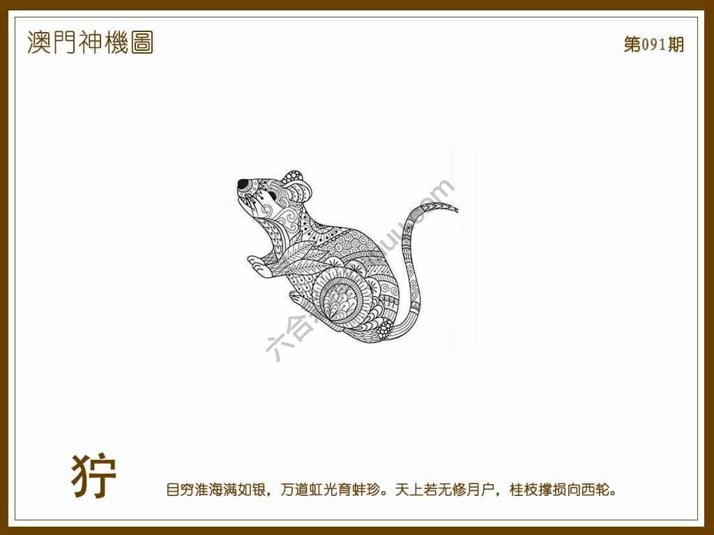 澳门神机图