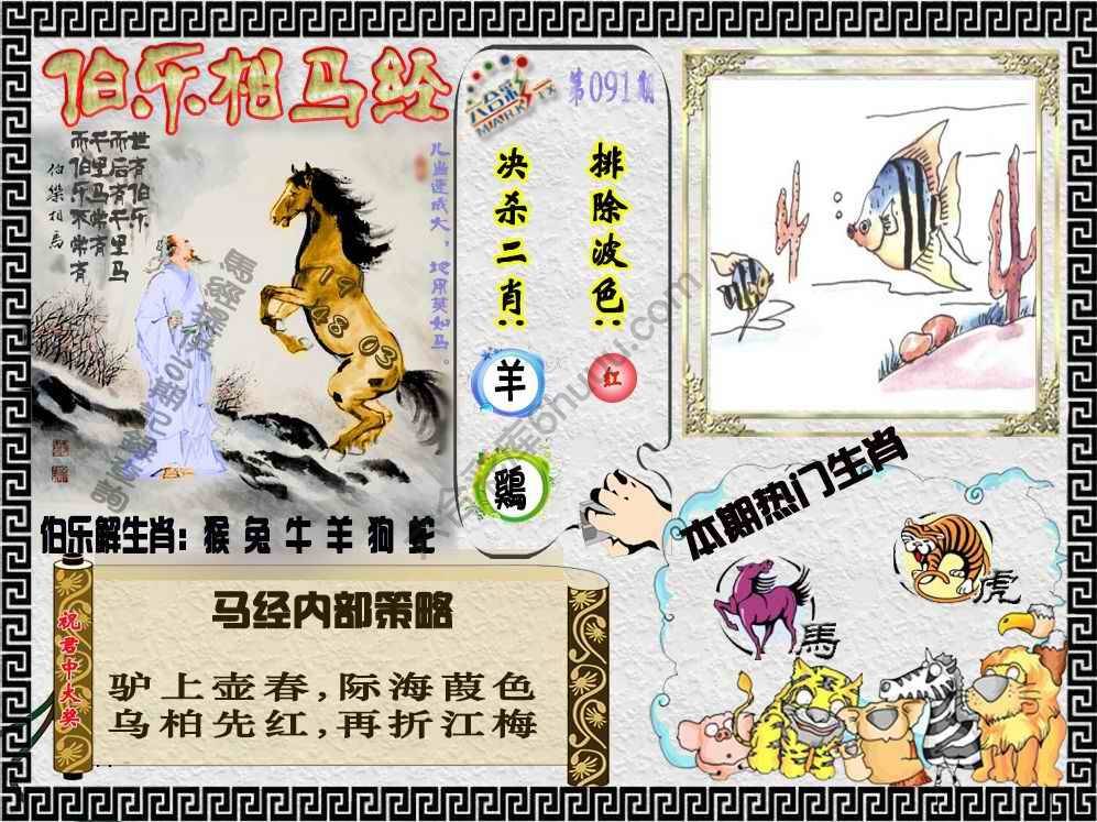 伯乐相马经