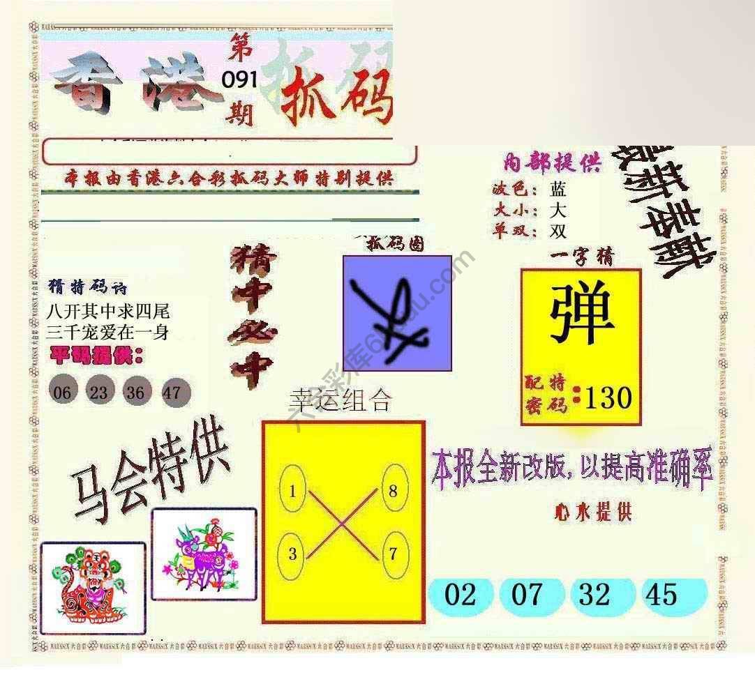 新抓码王