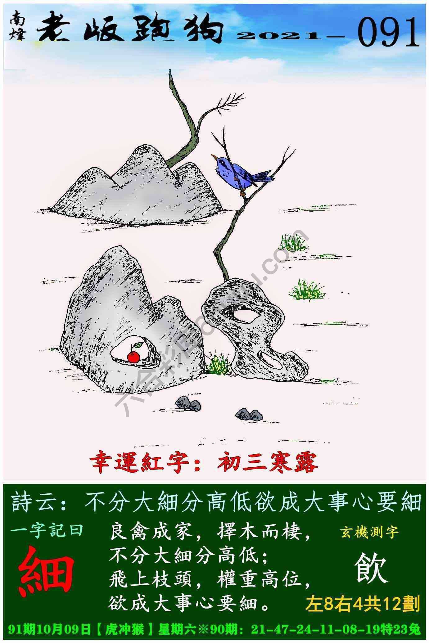 老版跑狗图