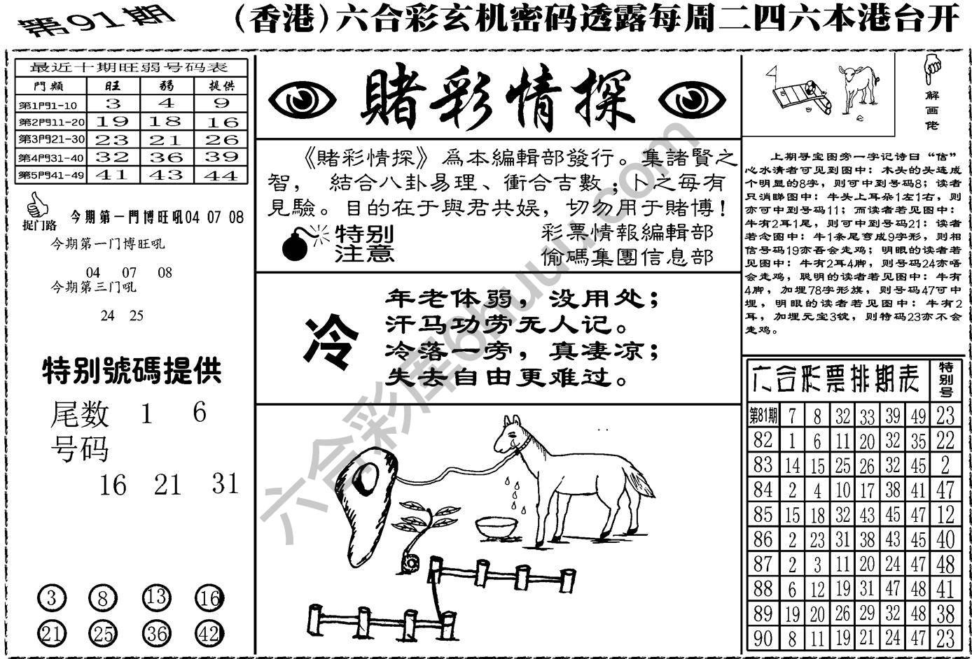 赌彩情探