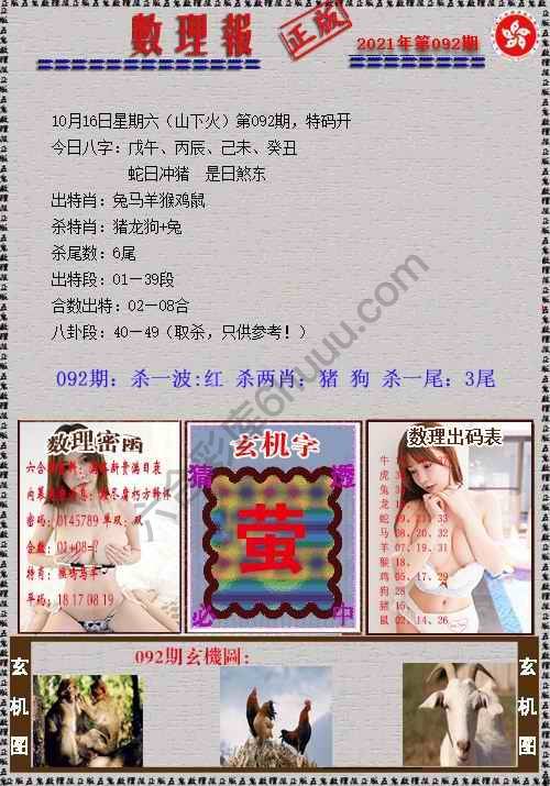 数理报