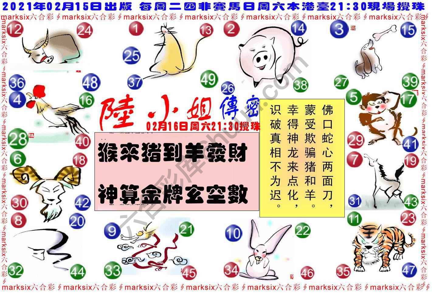 陆小姐传密