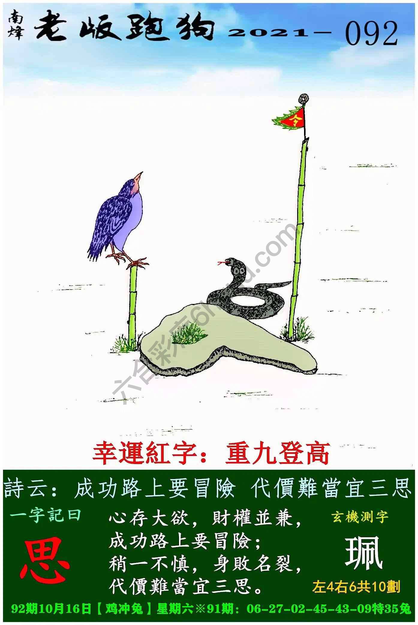 老版跑狗图