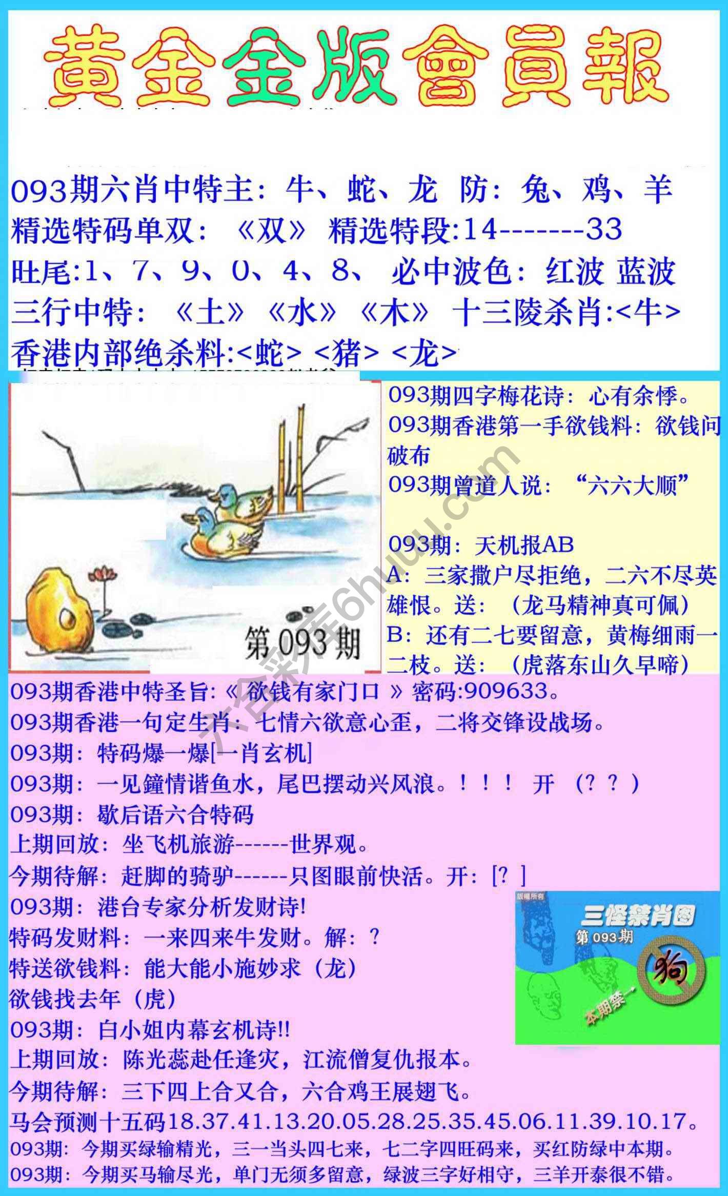 黄金金版会员报