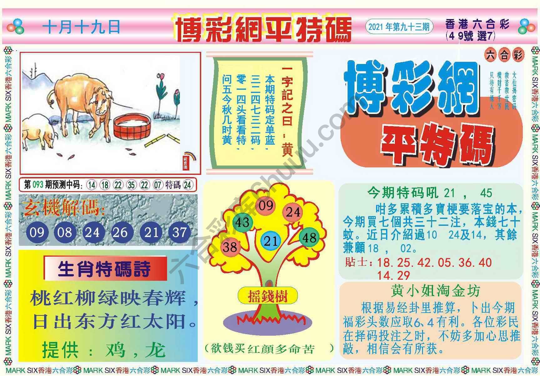 博彩网平特码