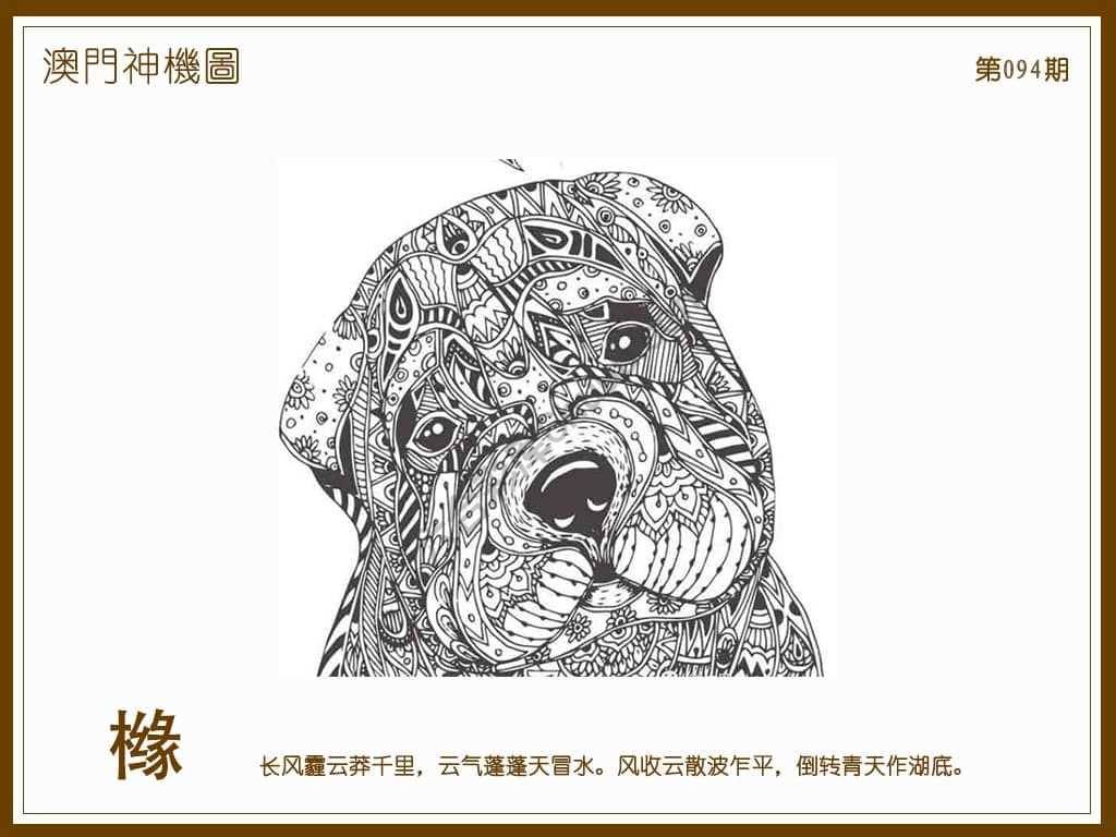澳门神机图