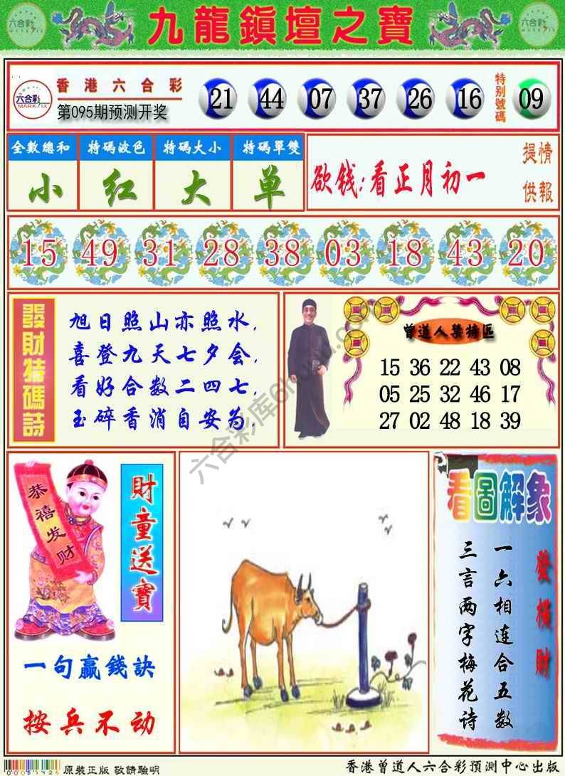九龙挂牌解特码