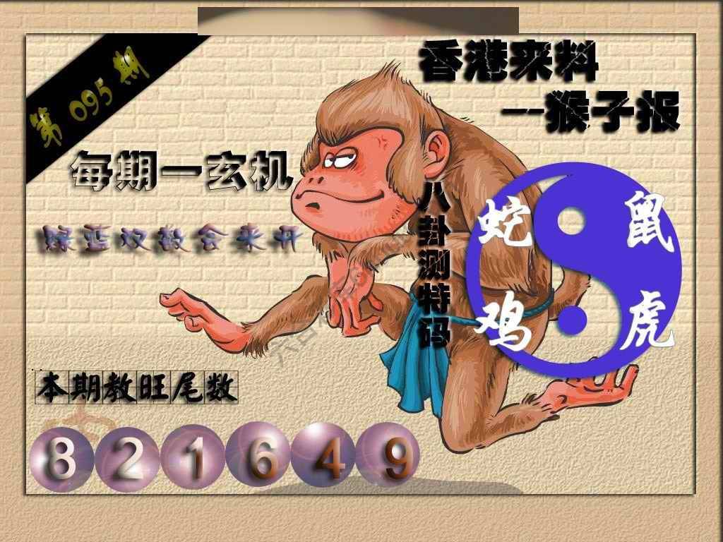 猴子报