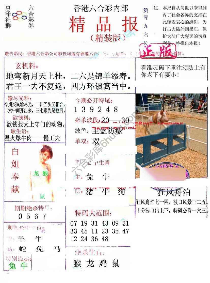 新精品报