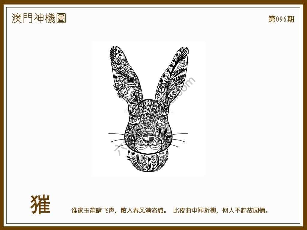 澳门神机图