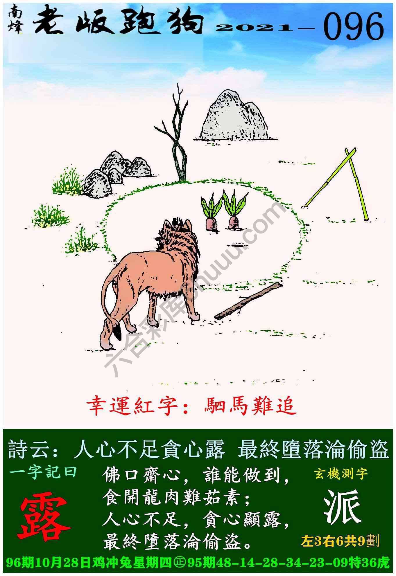 老版跑狗图