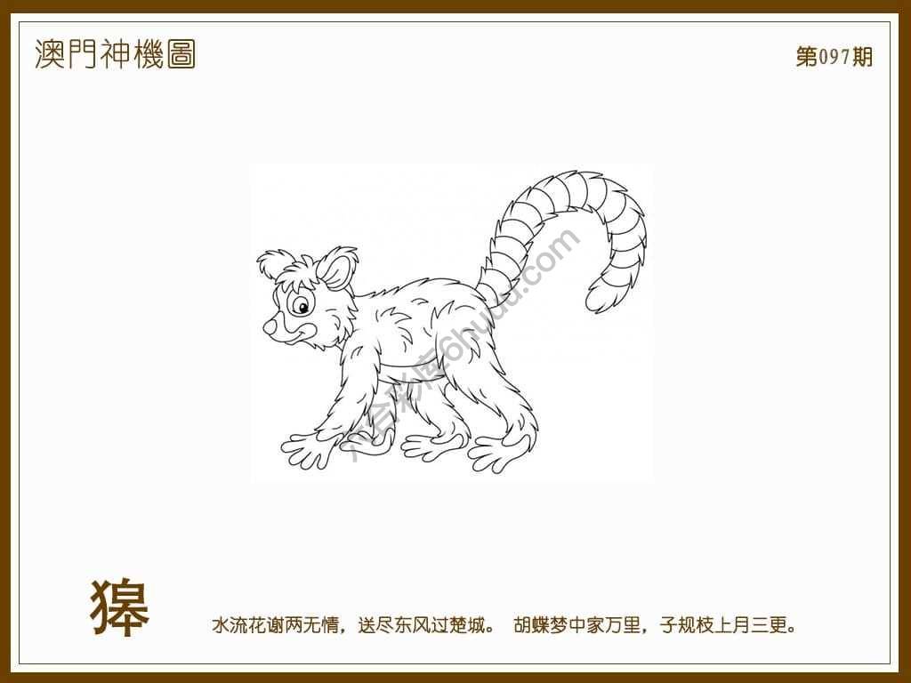 澳门神机图