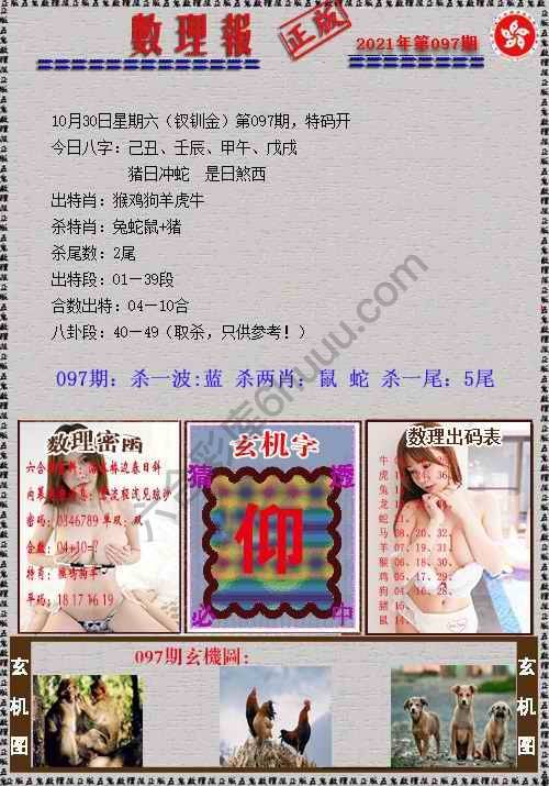数理报