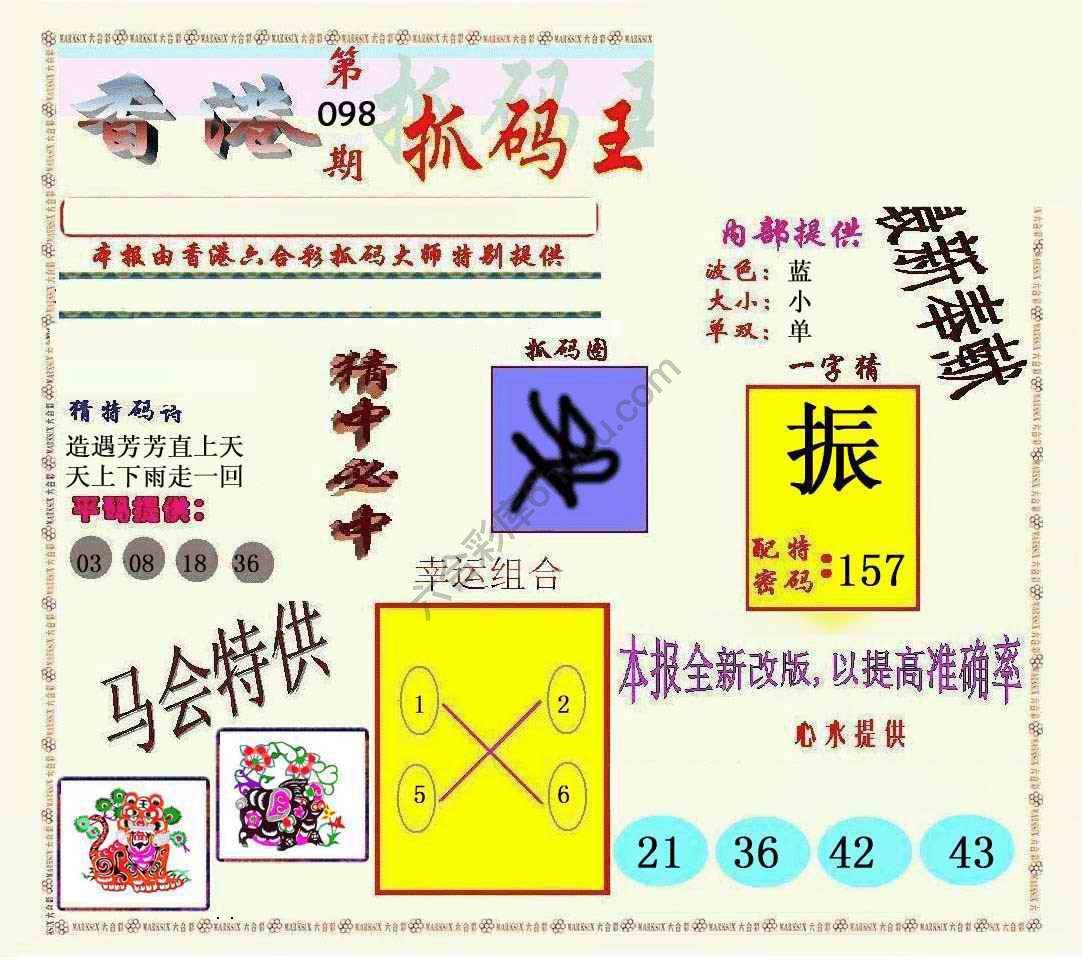 新抓码王