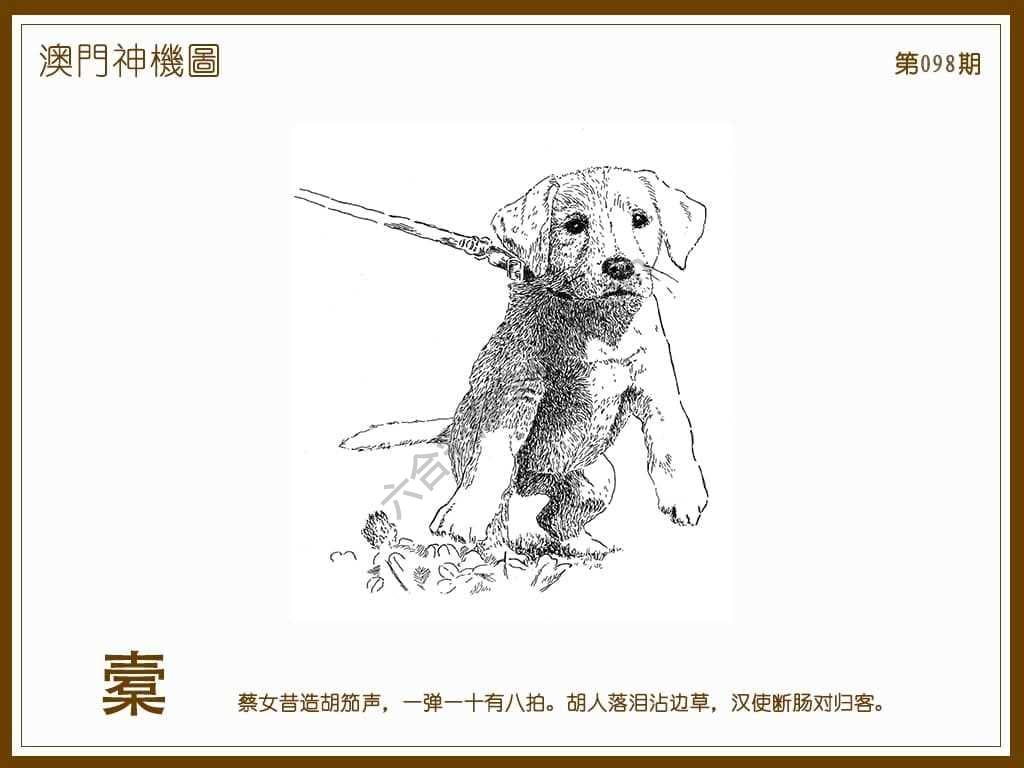 澳门神机图